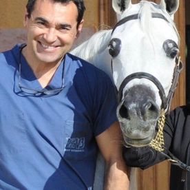 Clínica Veterinaria V3 Lleida Doctor con caballo de frente