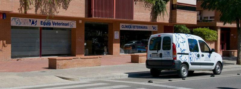 Clínica Veterinaria V3 Lleida clínica veterinaria