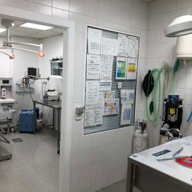 Clínica Veterinaria V3 Lleida Sala de procedientos