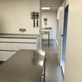 Clínica Veterinaria V3 Lleida Consultorio sala de procedimientos